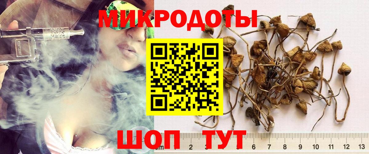 Псилоцибиновые грибы GOLDEN TEACHER Будённовск